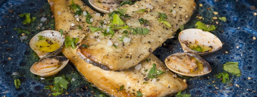 Zanderfilets